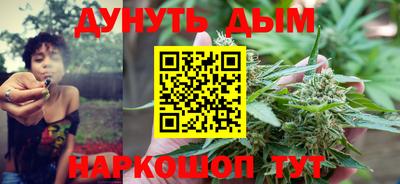 сатива Апшеронск