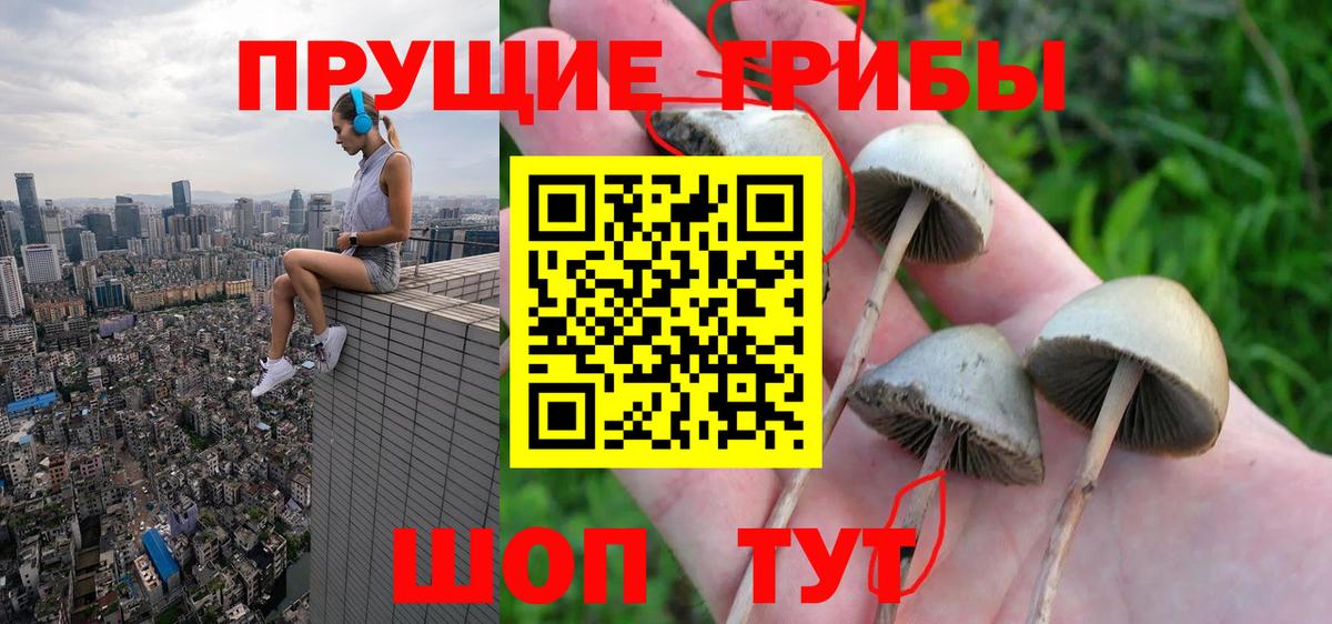 Ачхой-Мартан  Псилоцибиновые грибы MAGIC MUSHROOMS  Галлюциногенные грибы мицелий  где купить наркоту  Вход с VPN 